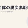 自治体の脱炭素戦略｜ゼロカーボンシティと地域新電力